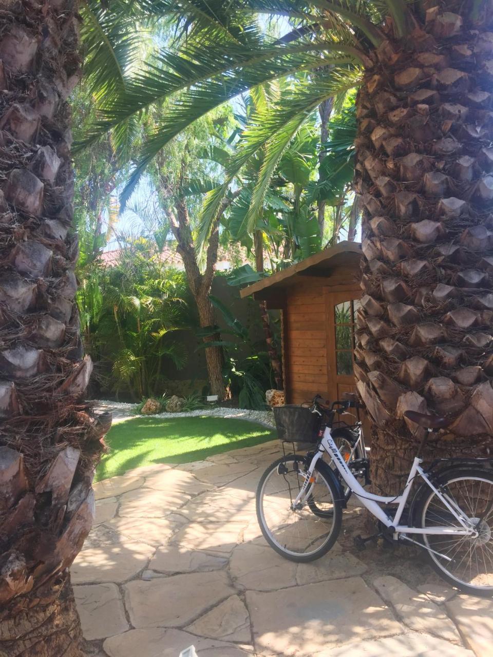 Villa De Lujo Con Jardines Y Piscina El Puerto de Santa Maria Exterior foto
